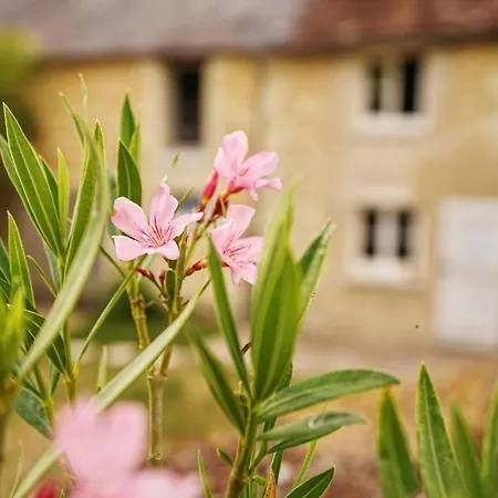 Le Moulin De Gaudais, 16p, 7ch, 350m2, Piscine *